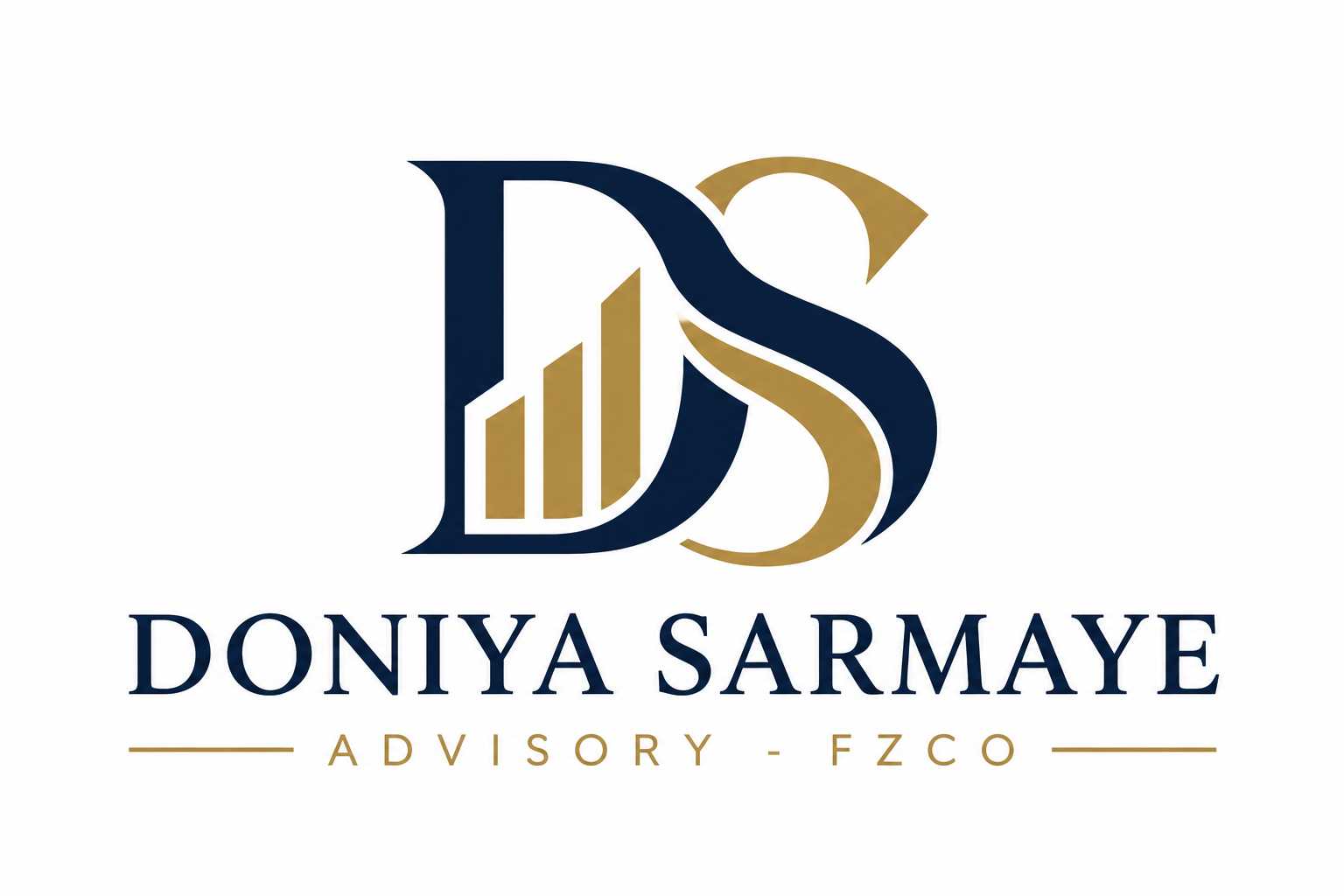 DS Doniya Sarmaye Advisory logo